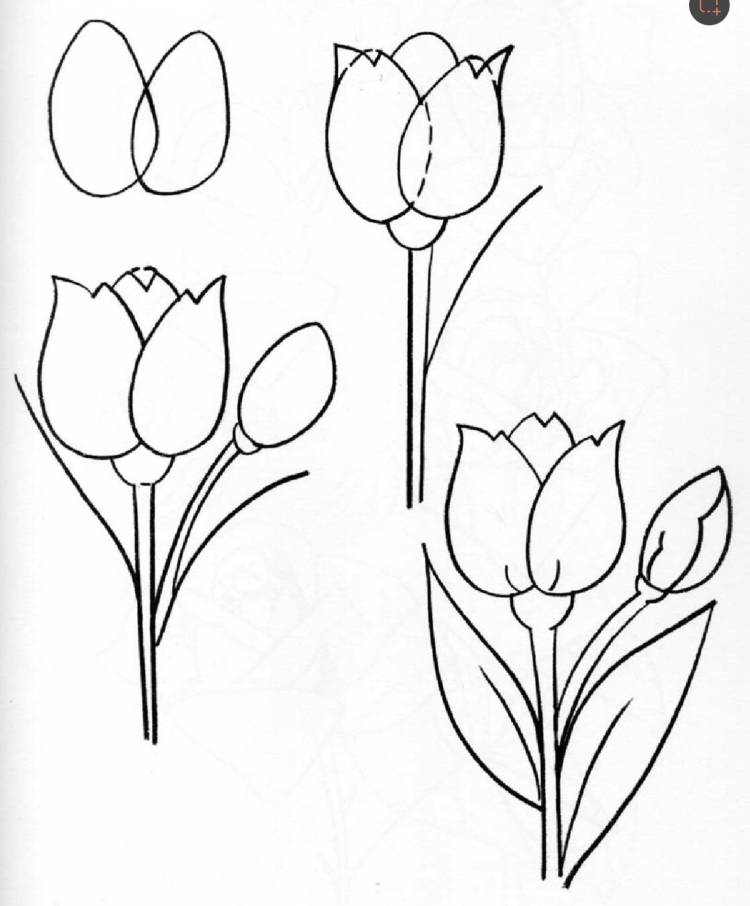 Тюльпаны рисунок. Легкие цветы для рисования. Тюльпаны карандашом. Этапы рисования тюльпана.