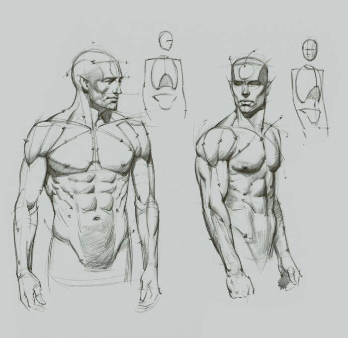 Рисунки человеческого тела для срисовки