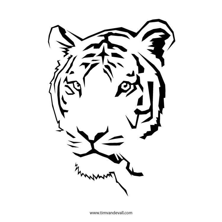 Рисунки для выжигания тигр 