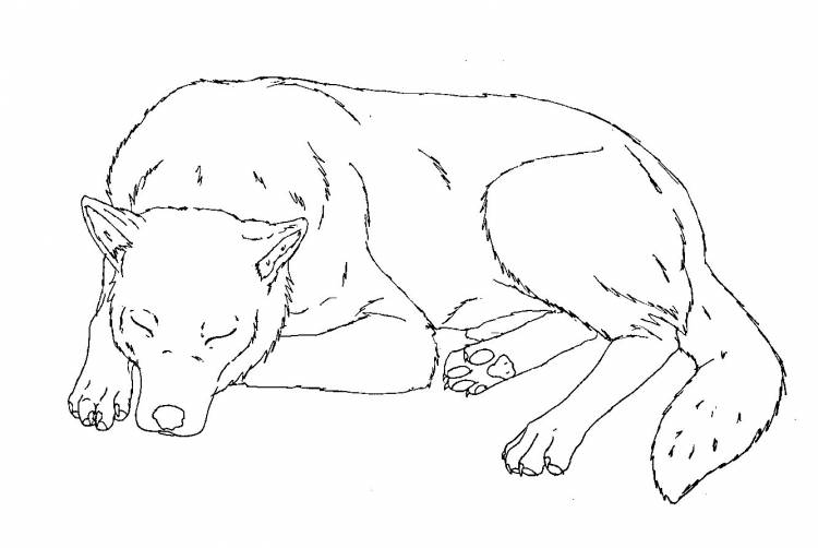 Собака лежит рисунок карандашом