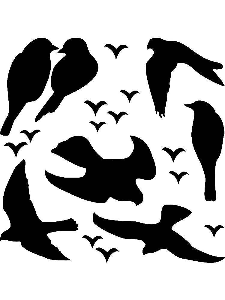 Шаблоны и трафареты птиц для вырезания из бумаги
