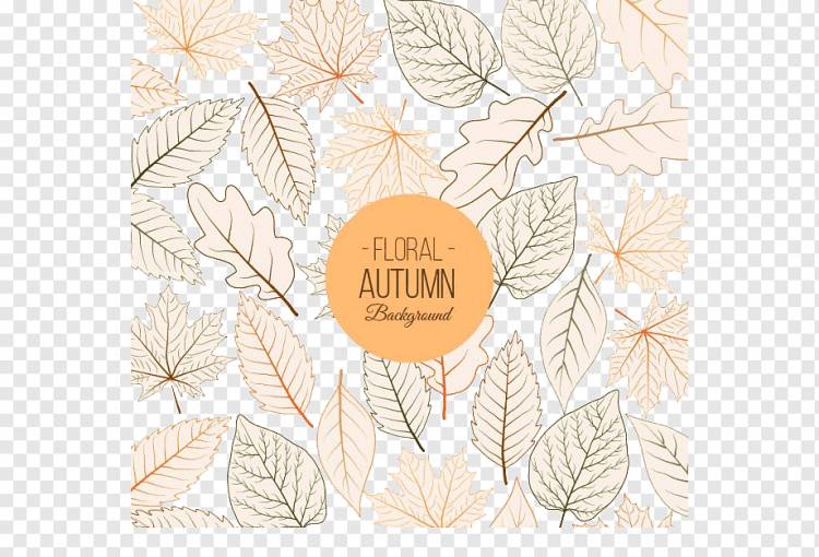 Осенний лист узор, Осенние листья узор фона, акварельные листья, лист, текст png