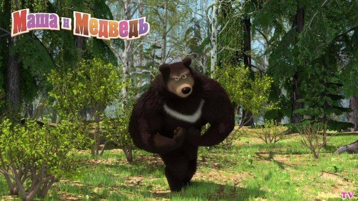 Гималайский Медведь из мультсериала «Маша и медведь» 