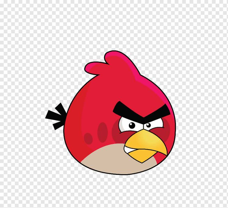 Angry Birds Северный кардинал, Angry Birds, видеоигра, цвет, мультфильм png