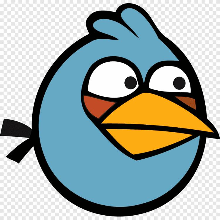 Angry bird png