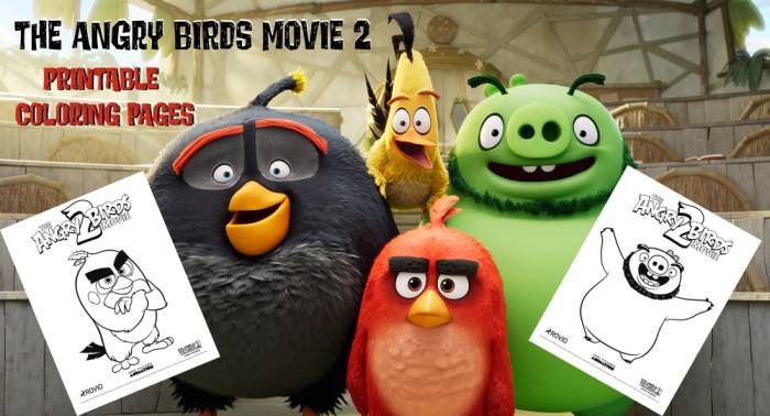Раскраски к мультфильму Angry Birds