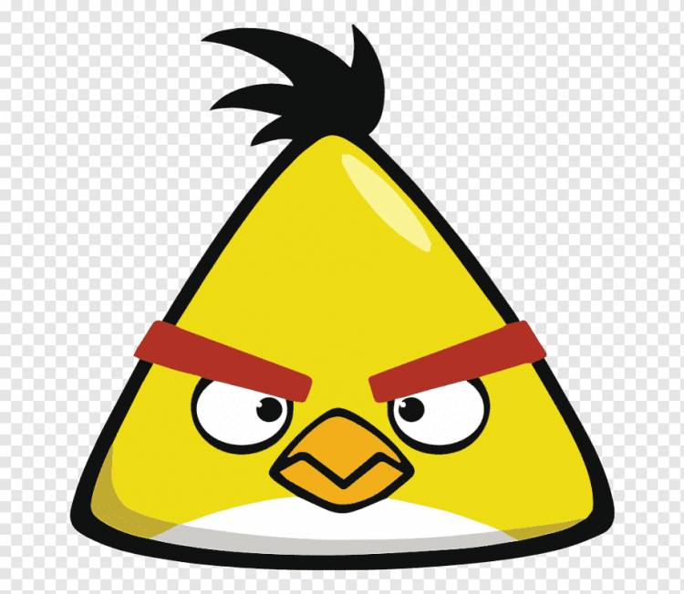 Angry Bird png