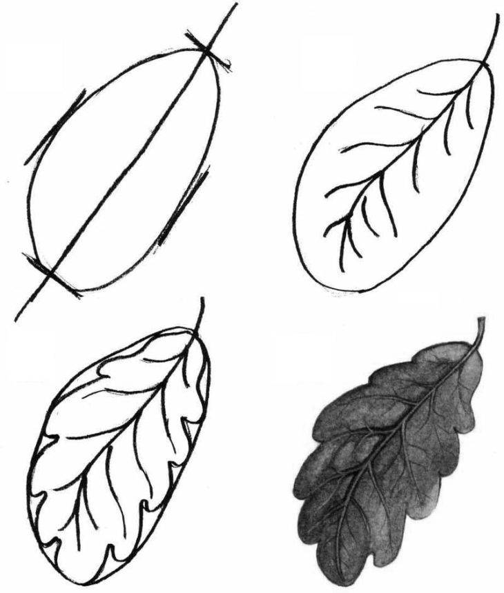Рисунки листьев карандашом для срисовки 