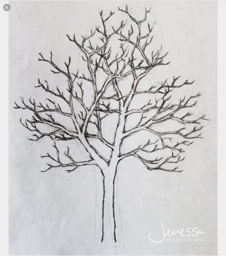 Рисунки деревьев для срисовки