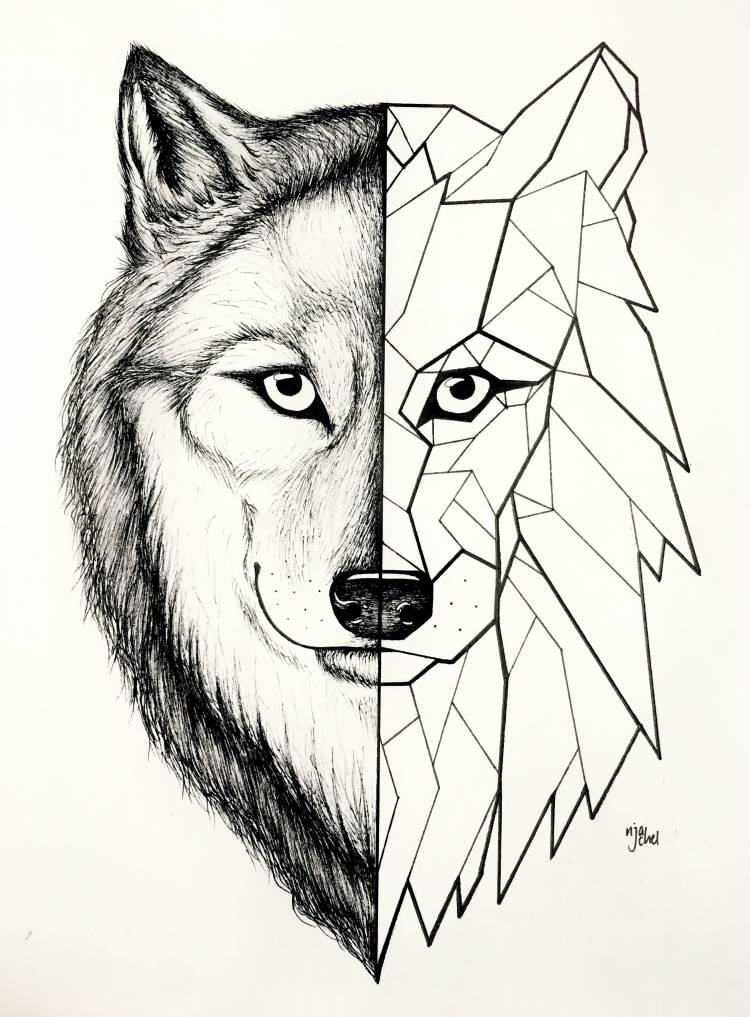 Голова волка рисунок для срисовки