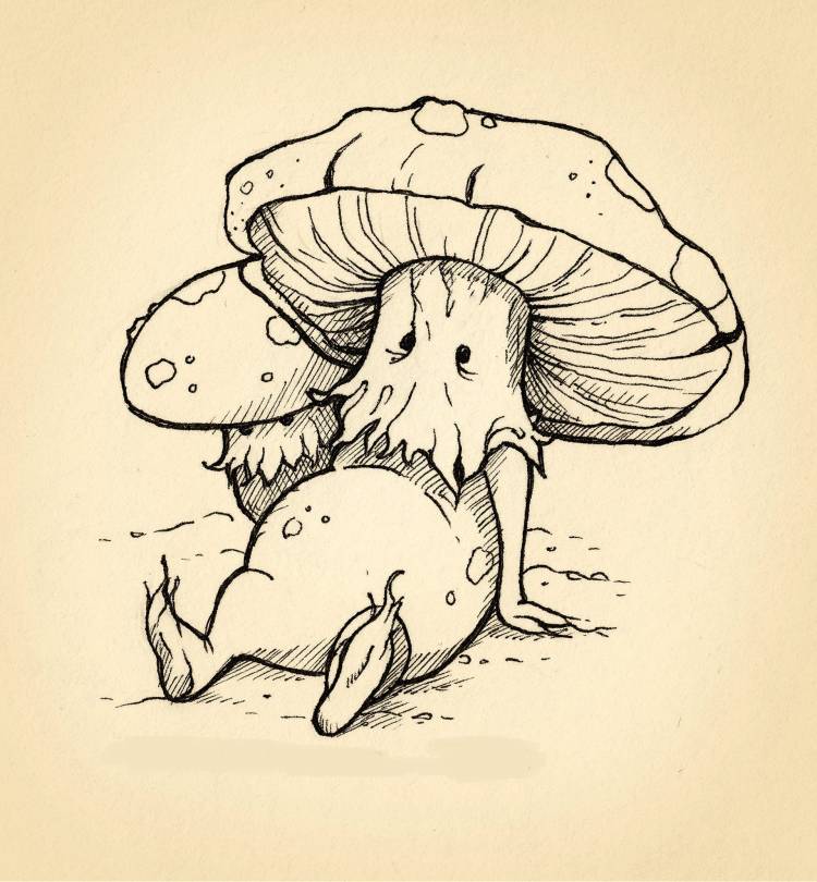 Рисунки грибы для скетчбука