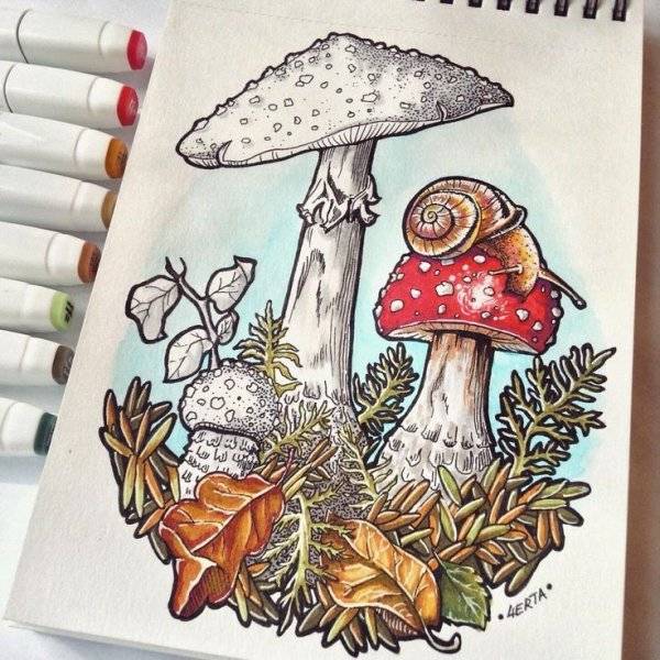 Рисунки грибы для скетчбука 