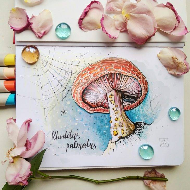 Рисунки для срисовки в скетчбук грибы 