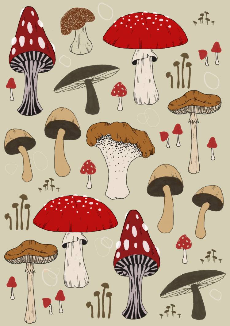 Красивые грибочки рисунки