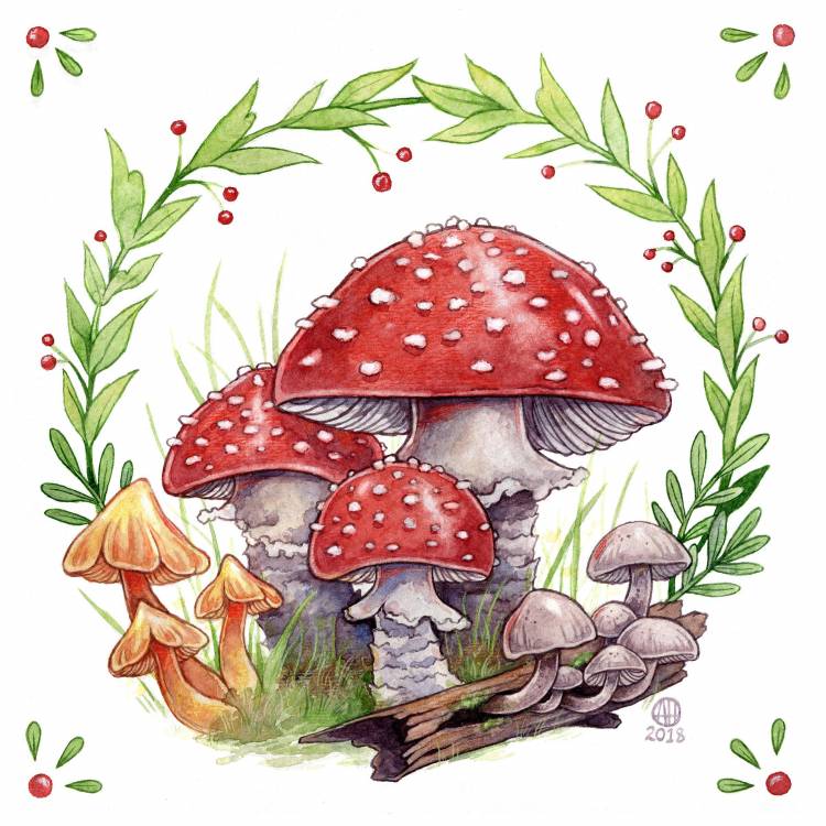Красивые грибочки нарисованные