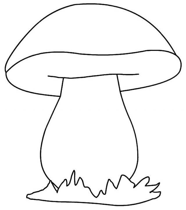 Рисунки грибов для срисовки 