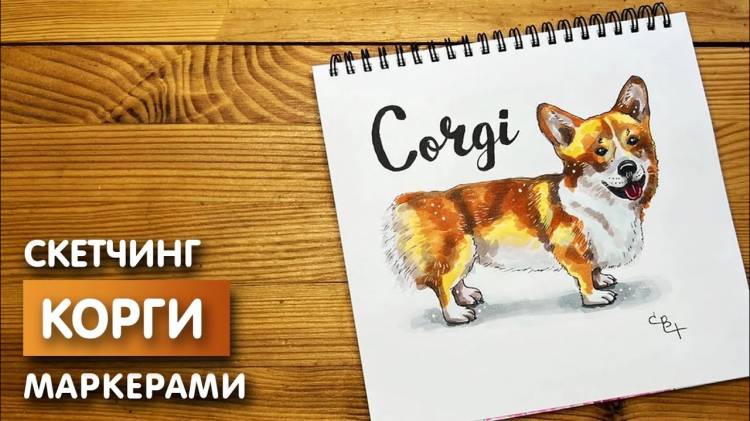 Как нарисовать собаку Корги карандашом и скетч маркерами