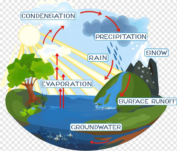Схема круговорота воды, вода, мир, без роялти, круговорот воды png