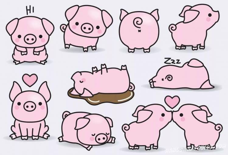Рисунки для срисовки свинки