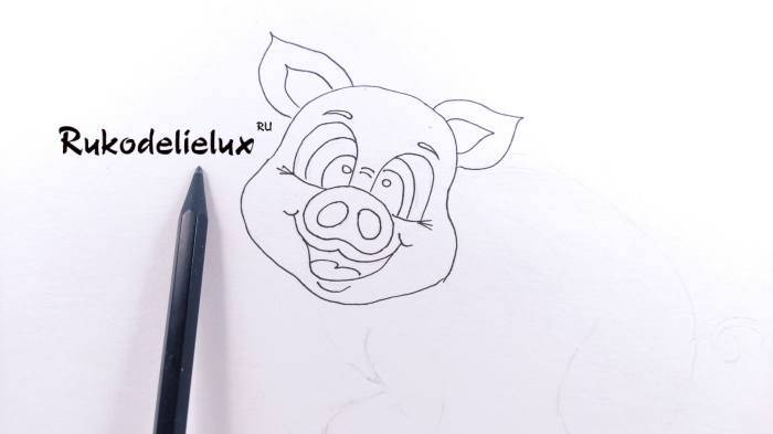 Как нарисовать свинью, поросенка поэтапно