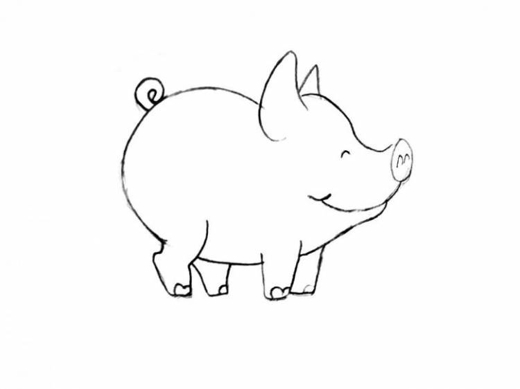 Как нарисовать свинью карандашом
