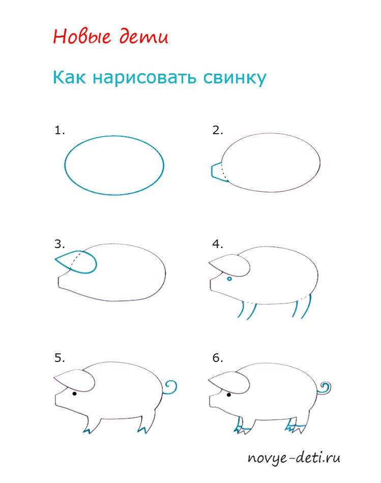 Как нарисовать свинку поэтапно