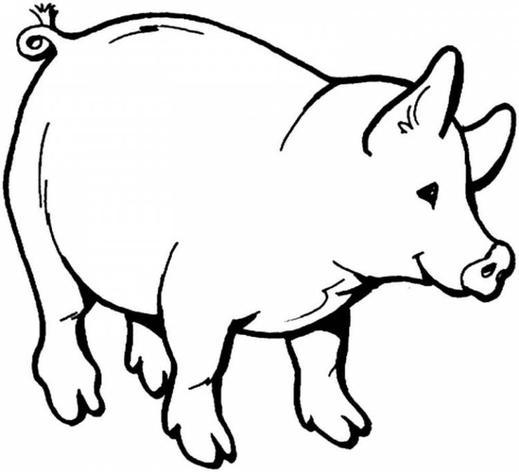 Как нарисовать свинью карандашом