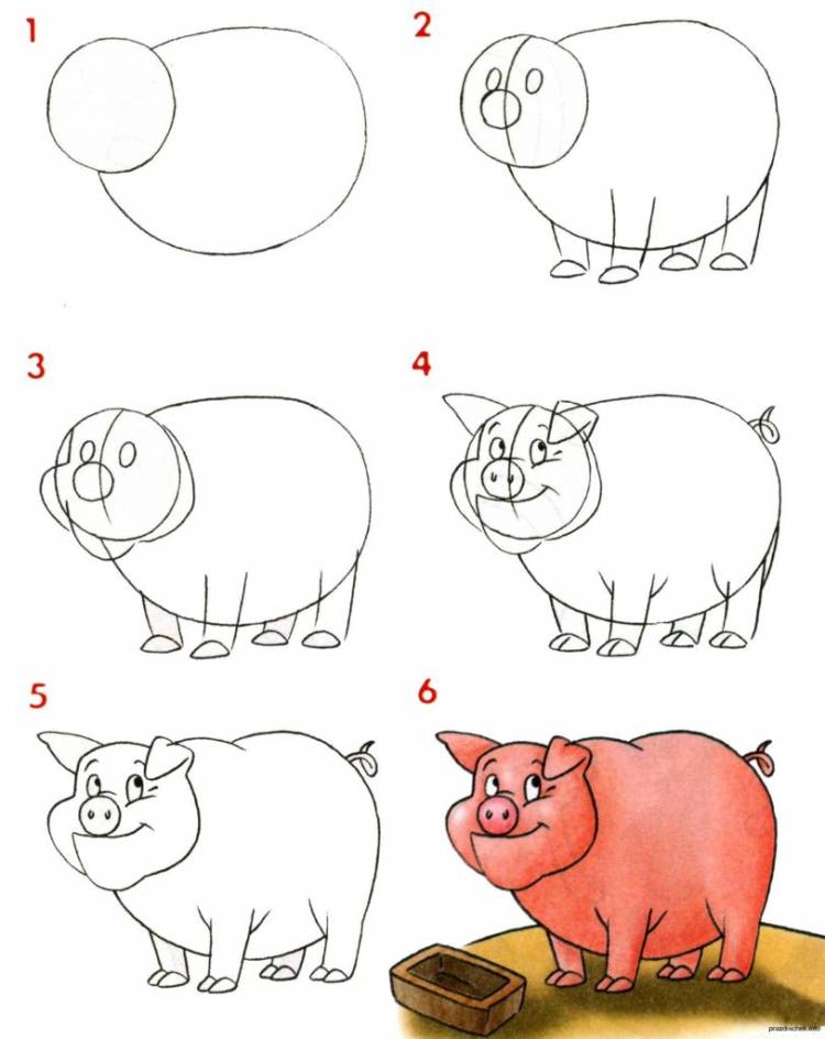 Рисунки свинок для срисовки 