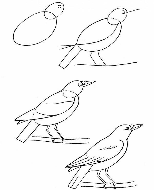 Рисунки ворона для срисовки 