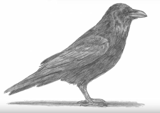 Рисунки карандашом Ворона и лисица 