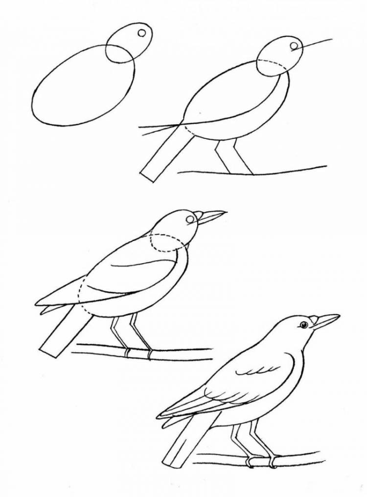 Как нарисовать ворону