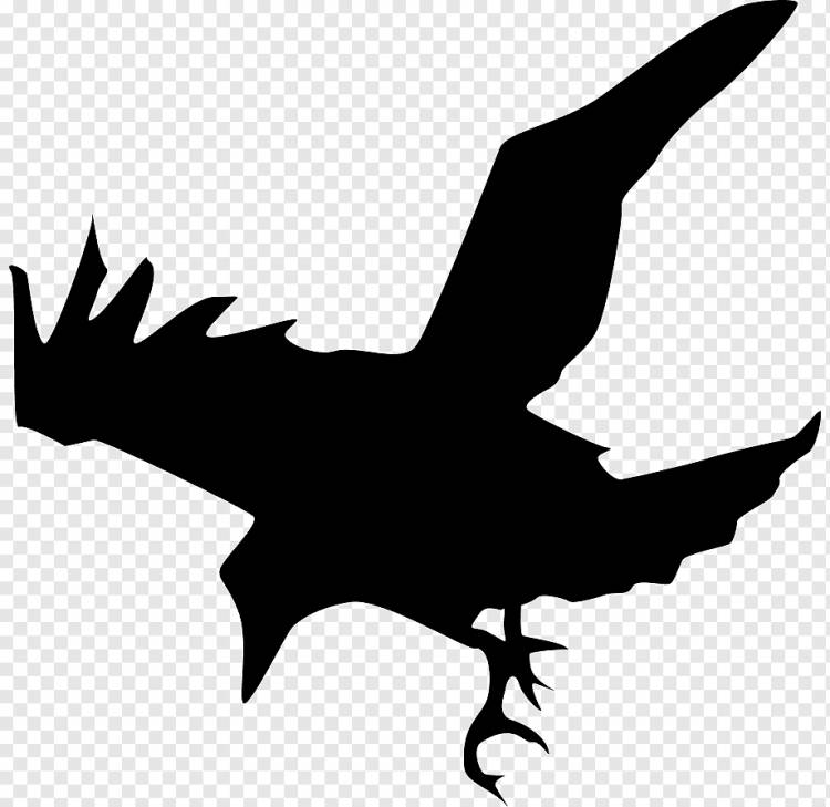 Силуэт ворон, летающий, животные, рука, galliformes png