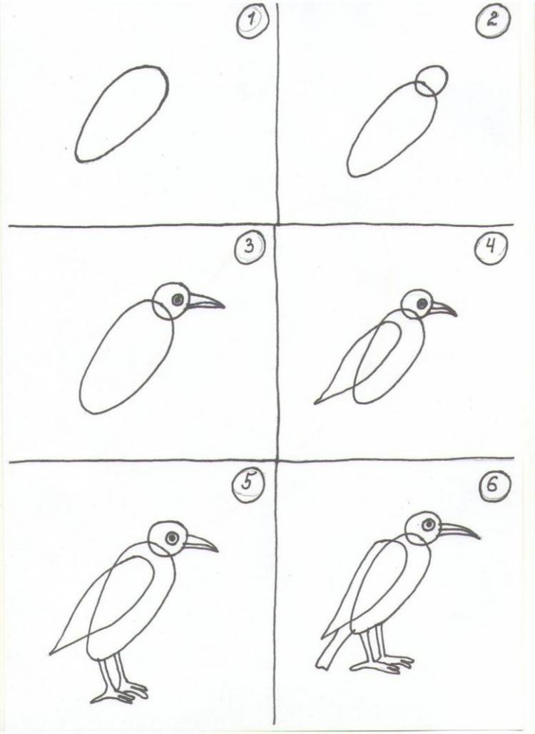 Ворона рисунок карандашом для детей поэтапно