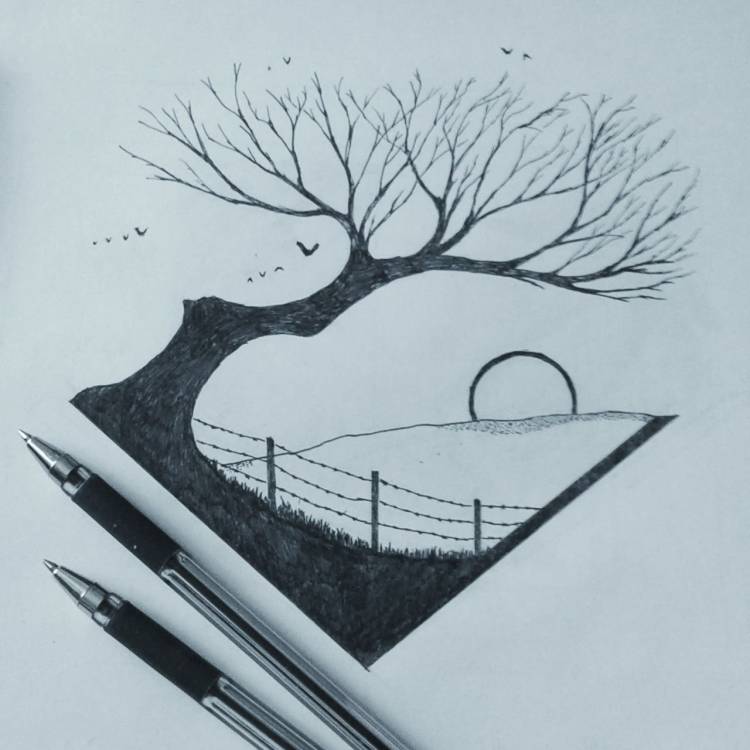 Черно белые рисунки природы для срисовки