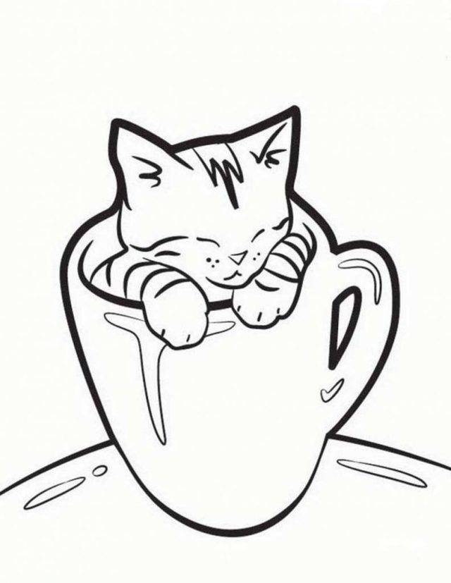Рисунки котенка карандашом для срисовки 