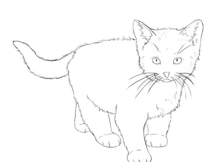 Рисунки кошек и котов для срисовки 