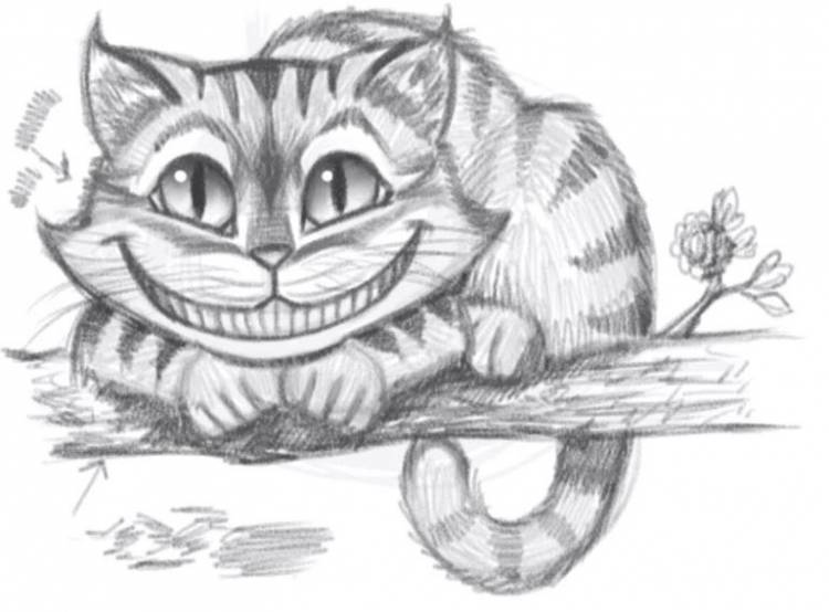 Рисунок кошки карандашом для срисовки Рисунки карандашом поэтапно