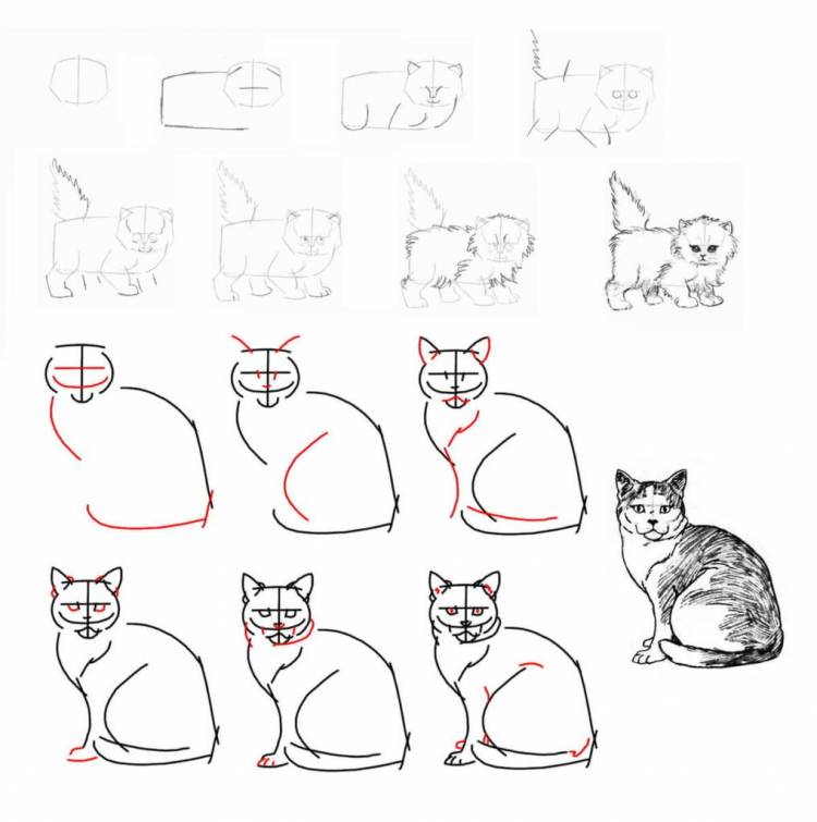 рисунков котов и котят карандашом для срисовки