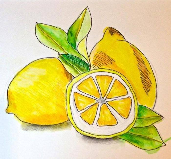 Рисунок фрукты для начинающих 