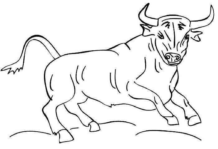 Рисунки быка для срисовки 