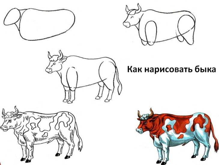 Рисунки быка для срисовки 