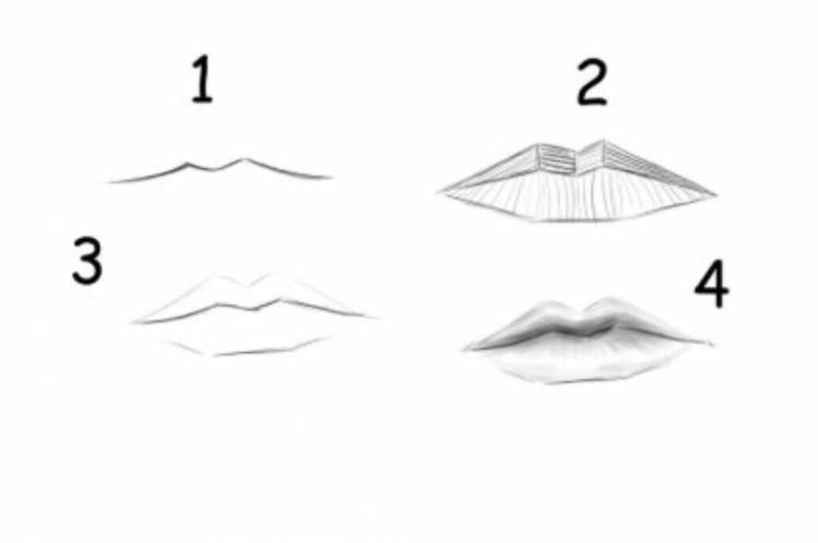 Рисунки для начинающих губы 