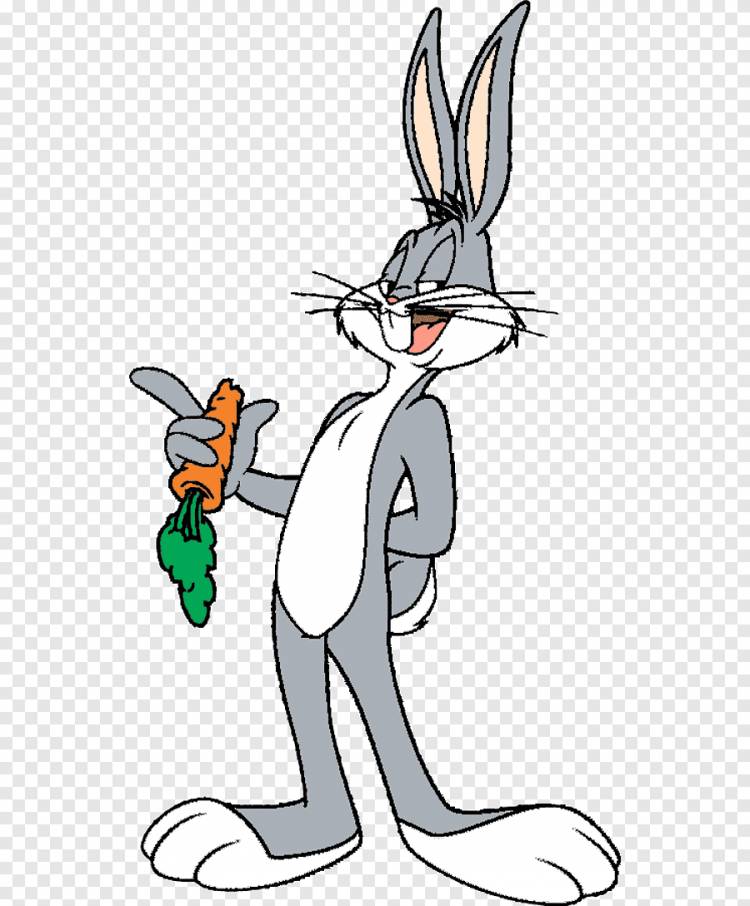 Looney Tunes Bugs Bunny art, Багз Банни Элмер Фадд Кролик Мультяшный, жучки Банни, белый, млекопитающее png