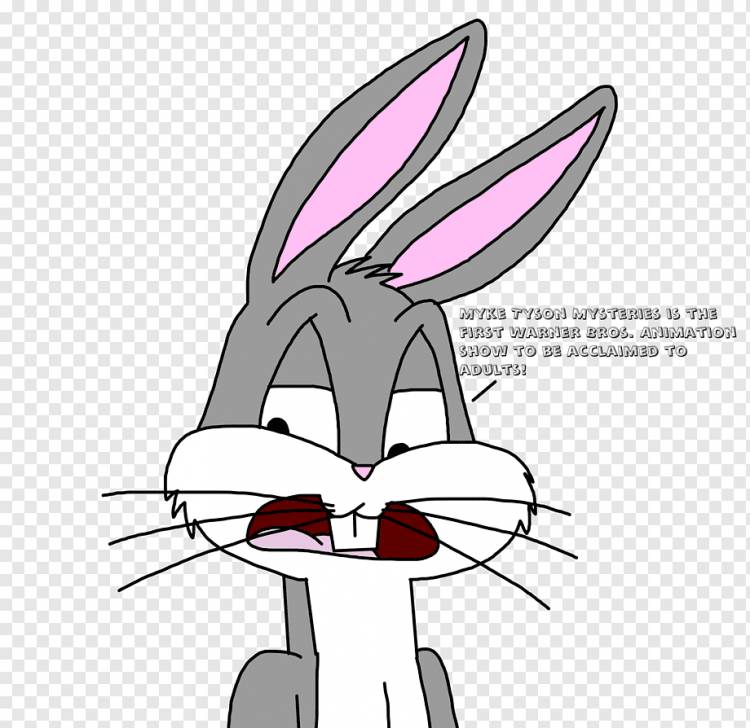 Bugs Bunny Пасхальный заяц заяц мультфильм кролик, белый, млекопитающее, лицо png