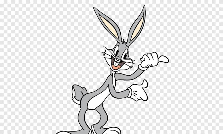 Bugs Bunny amp; Taz