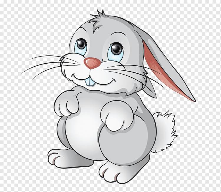 Bugs Bunny Rabbit Cartoon Pet, кролик с ручной росписью, Акварельная живопись, белый, млекопитающее png