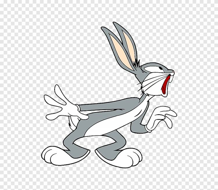 Bugs Bunny Elmer Fudd Looney Tunes, клоп-кролик, белый, млекопитающее png