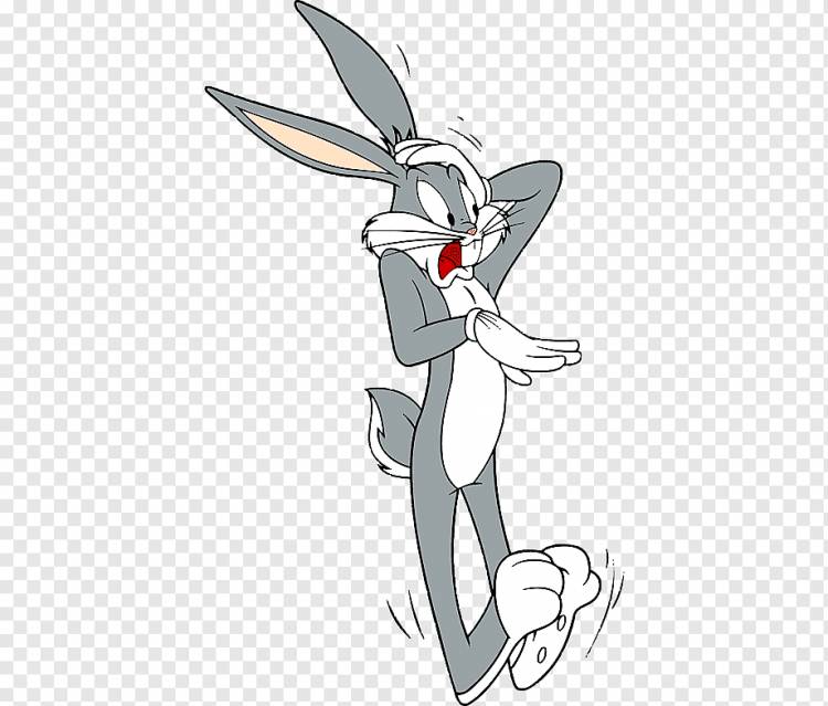 Bugs Bunny Elmer Fudd Мультяшная графика, жучки Bunny, белый, млекопитающее, позвоночное png