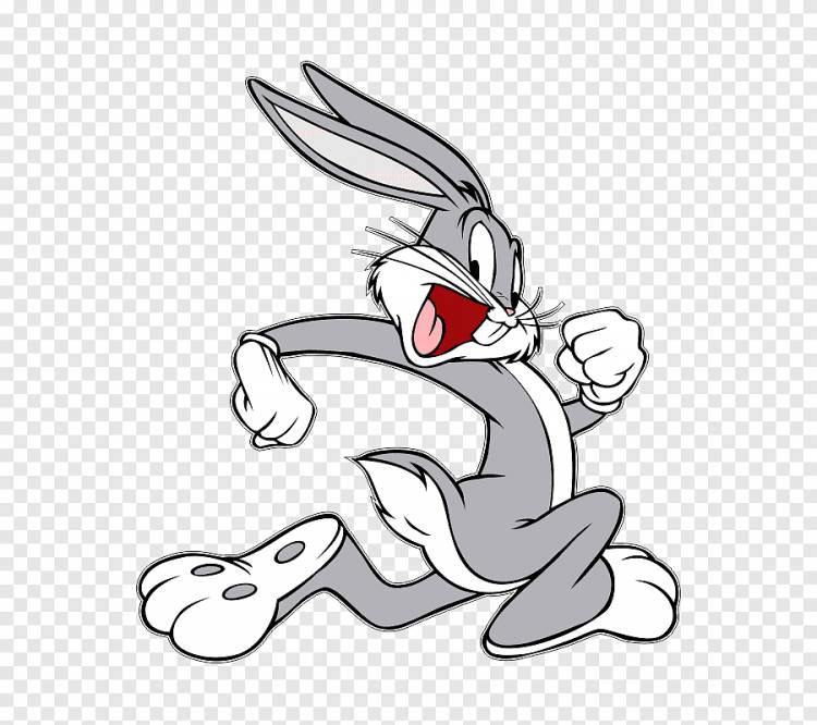 Bugs Bunny Porky Свинья Daffy Duck Тасманский дьявол Looney Tunes, кролик, белый, млекопитающее png