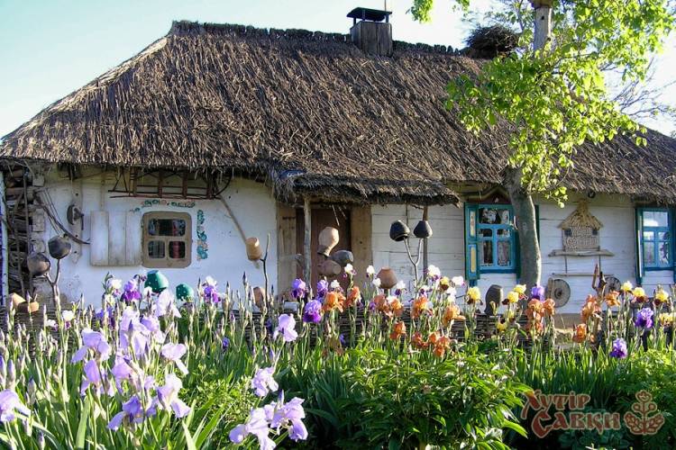 живописных украинских домов